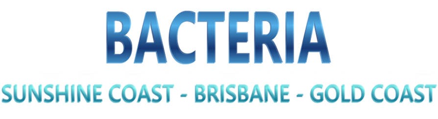 Bacteria removal Brisbane