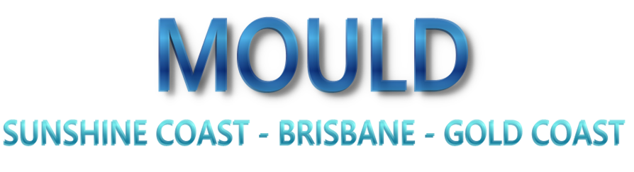 Mould removal Brisbane